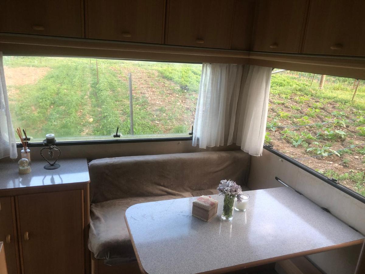 La Ferme De Rotani Hotel Aléria Екстериор снимка