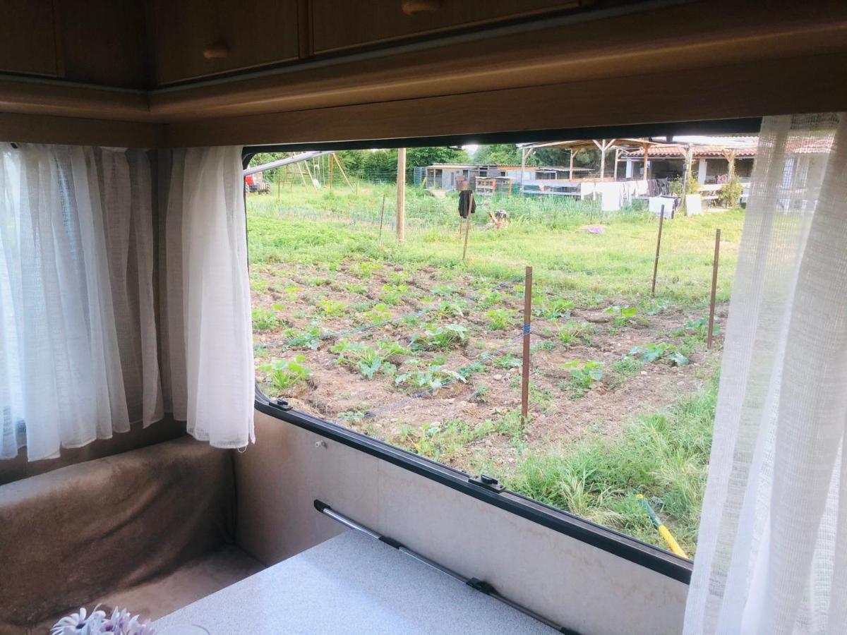 La Ferme De Rotani Hotel Aléria Екстериор снимка